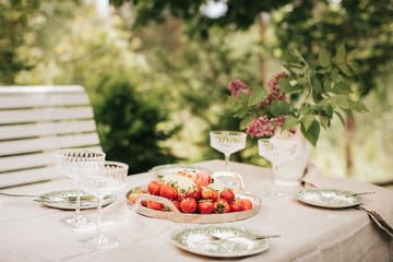 Sallie serveringsset tårtgaffel 6 st & tårtspade - Rostfritt stål - Dorre