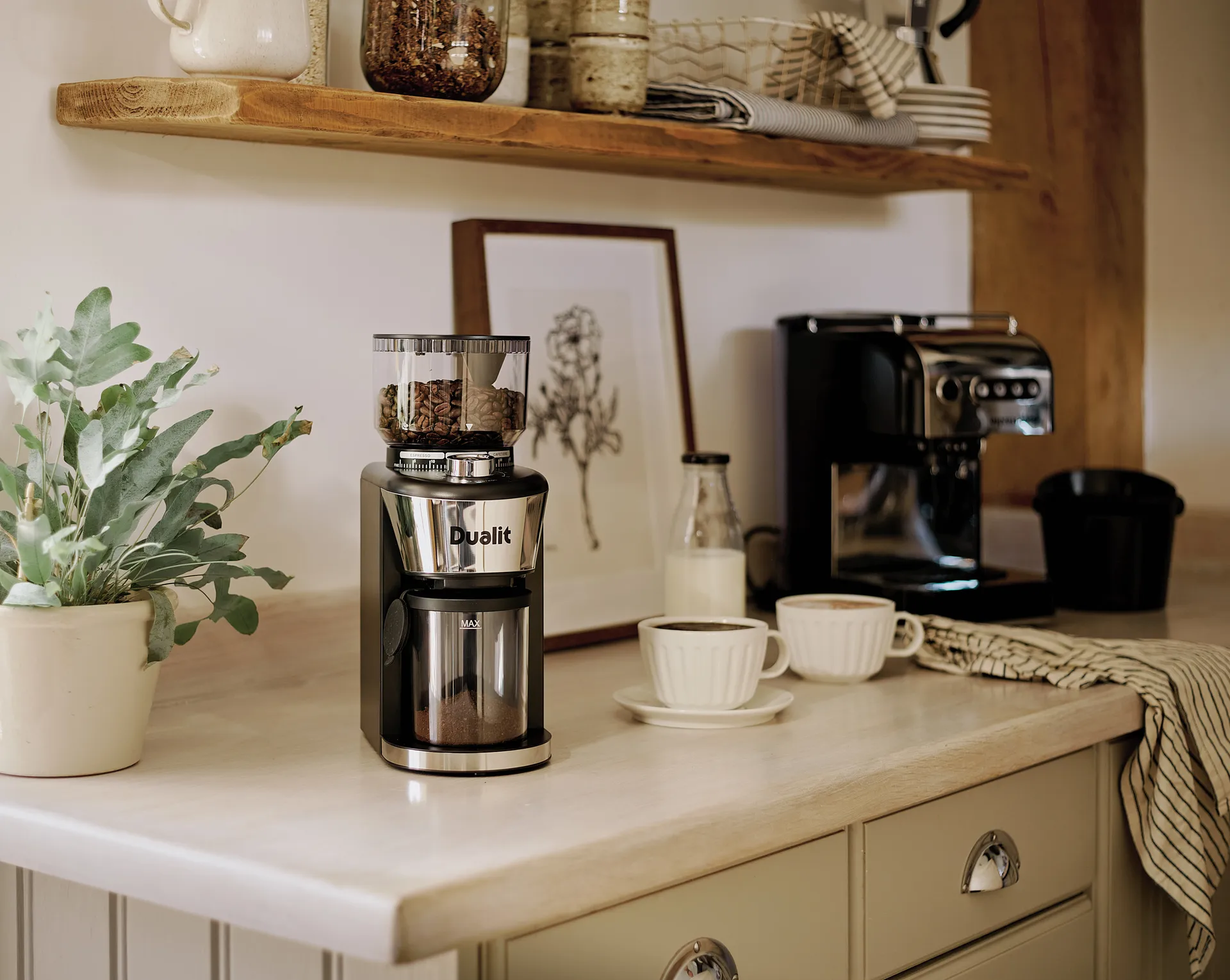 Dualit kaffekvarn 31 cm, Svart Dualit