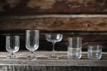 Ernst coupeglas bubbligt glas 20 cl 2-pack - Klar - ERNST