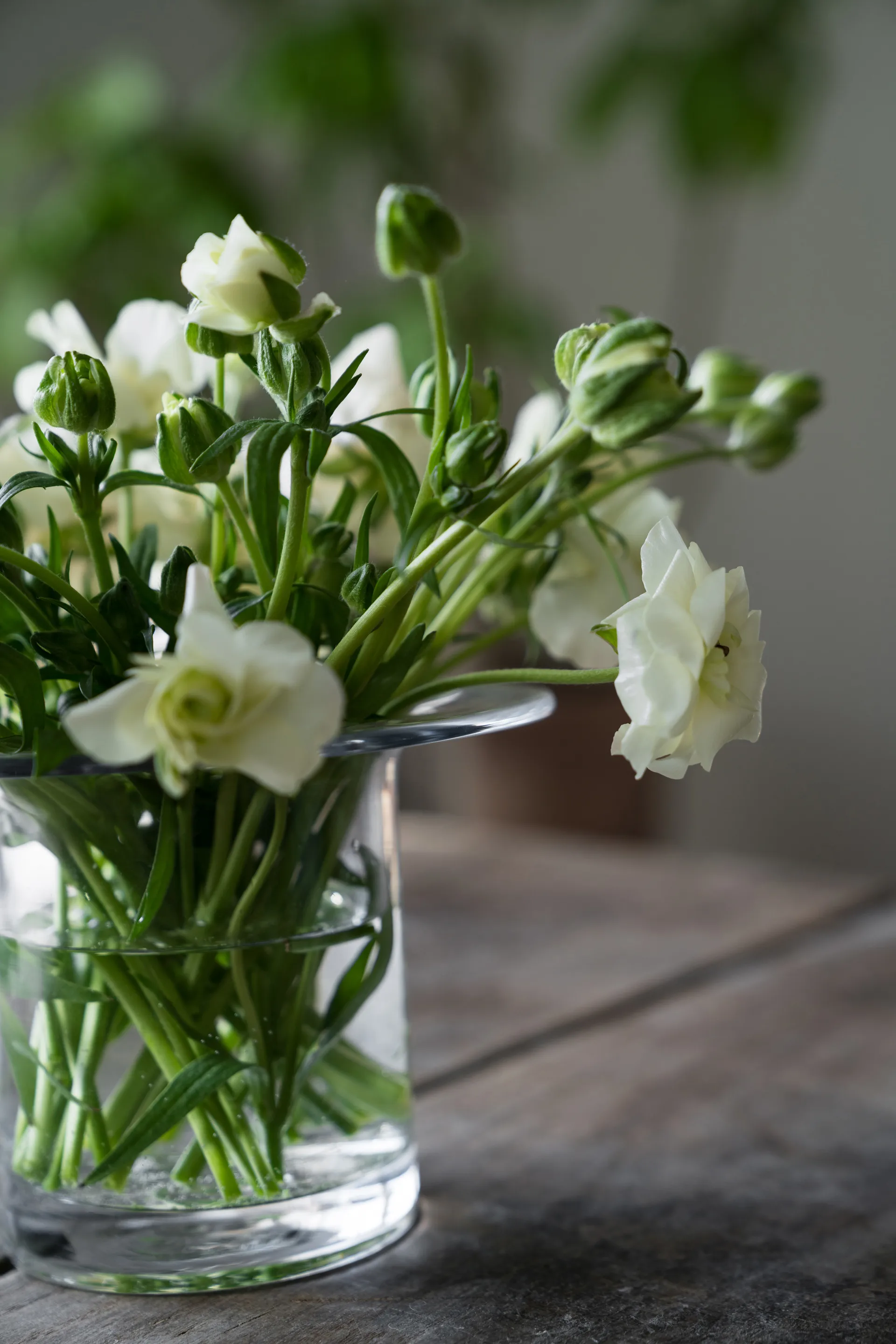 Ernst glasvas Ø17 cm, H 13 cm ERNST