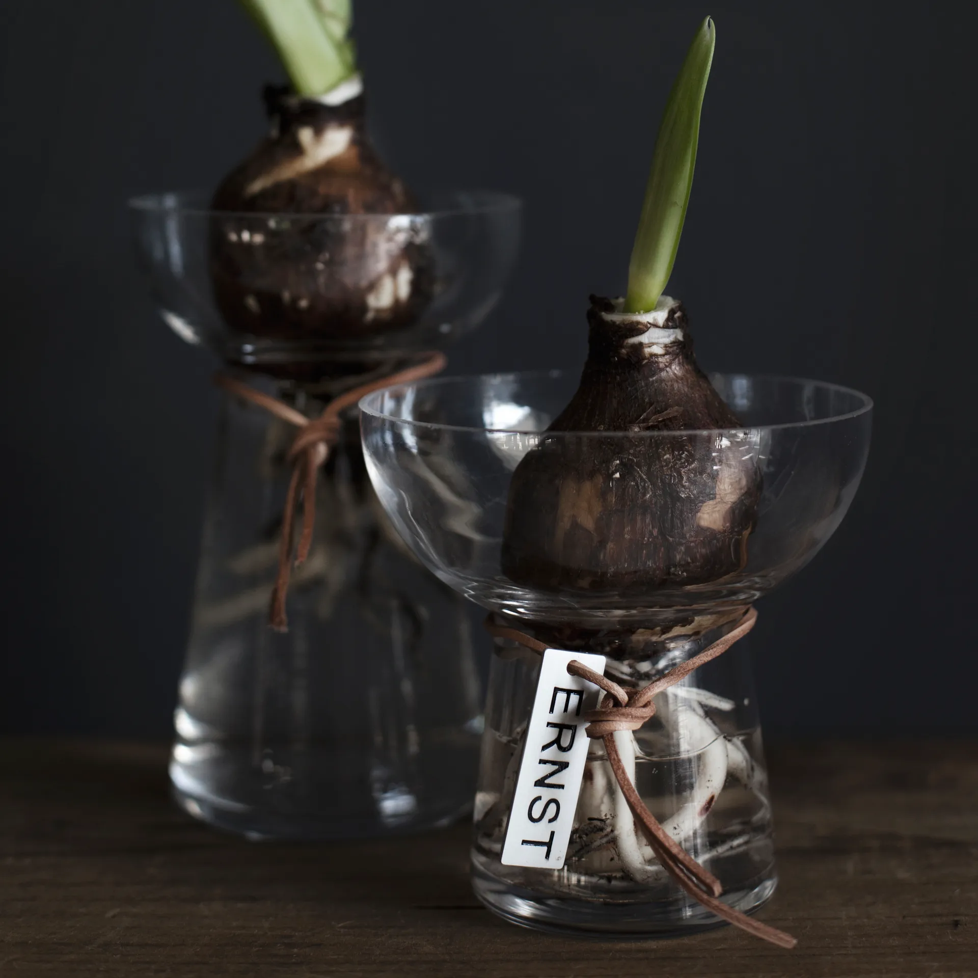 Ernst hyacintvas 11 cm, Klar ERNST