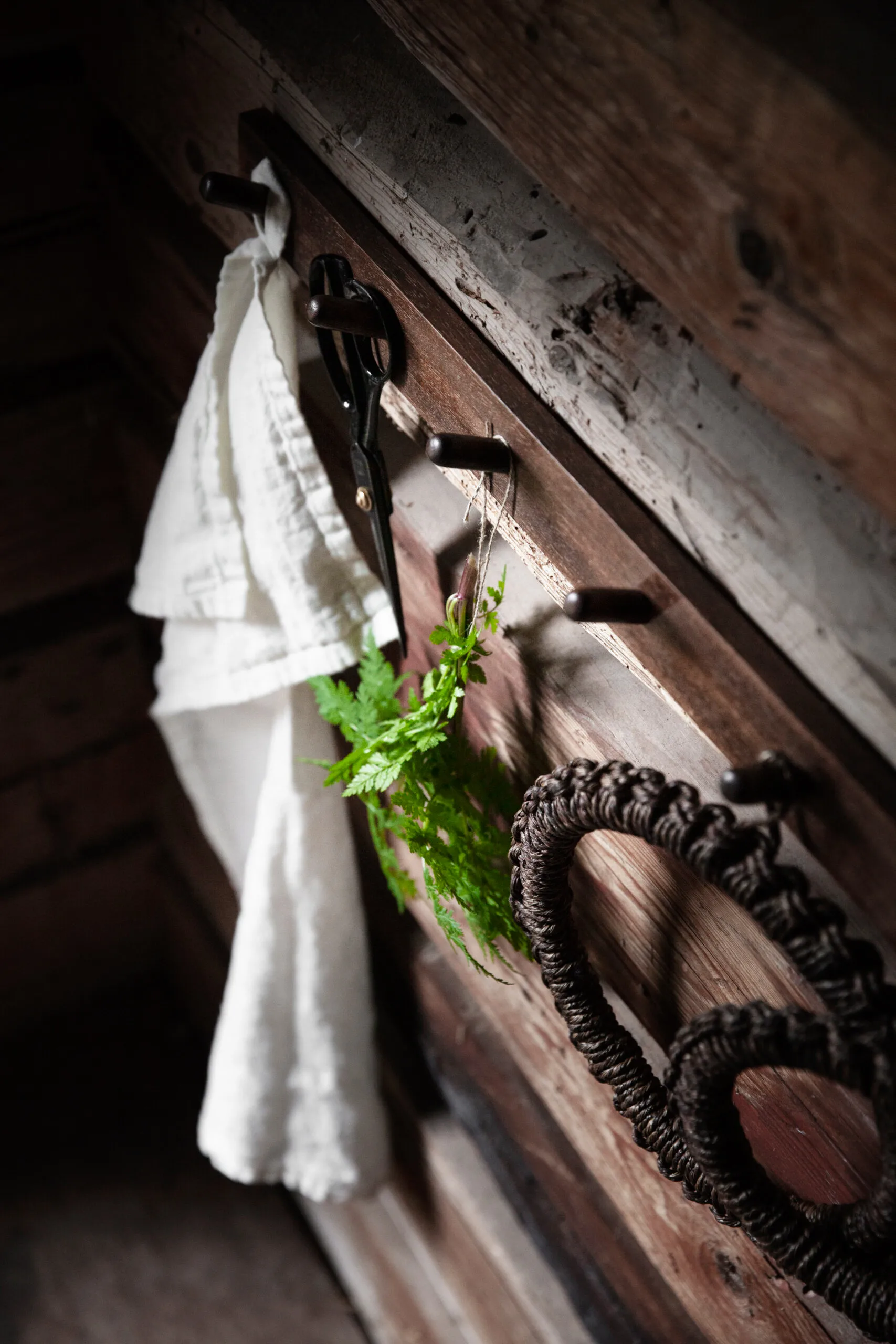 Ernst knopplist 3 knoppar, Brun ERNST