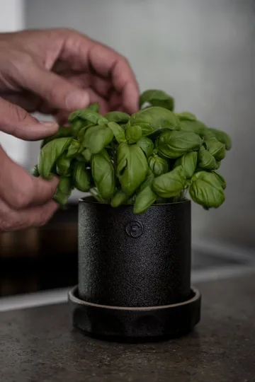 Ernst kruka med fat - Svart-natur, Ø11x11 cm - ERNST