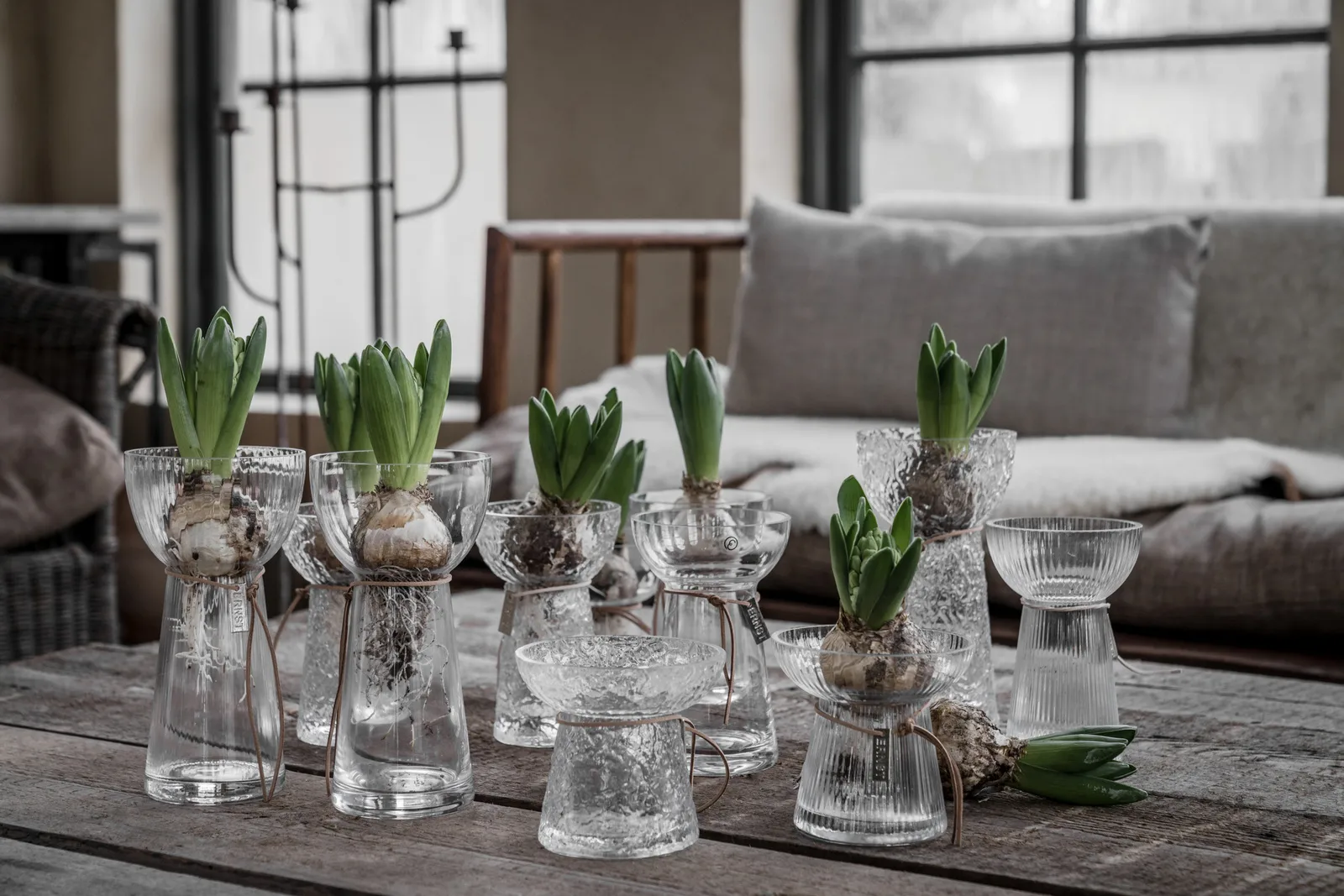 Ernst lökvas glas, 19 cm ERNST