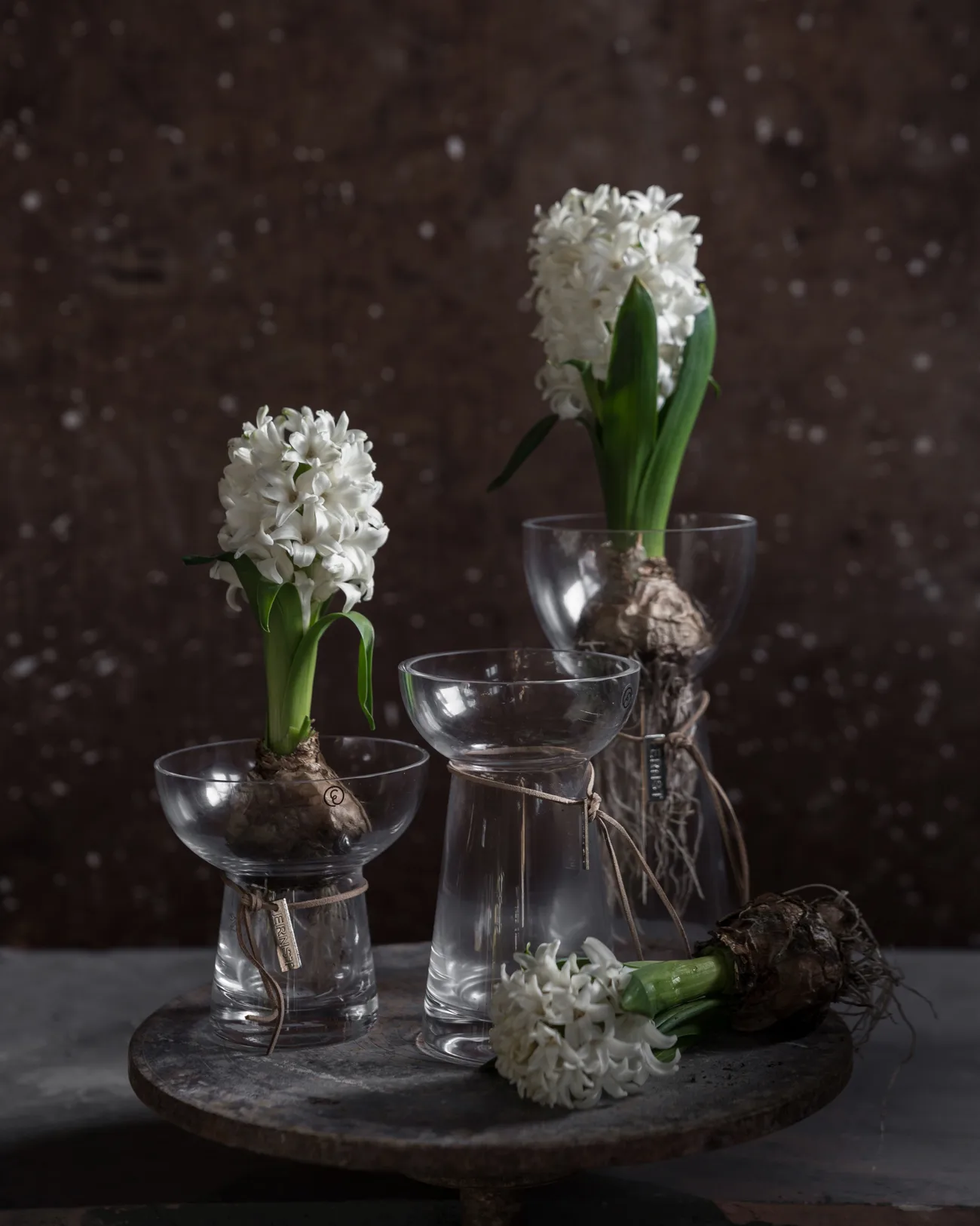 Ernst lökvas glas, 19 cm ERNST