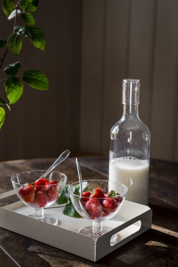 Ernst skål bubbligt glas 2-pack - Klar - ERNST