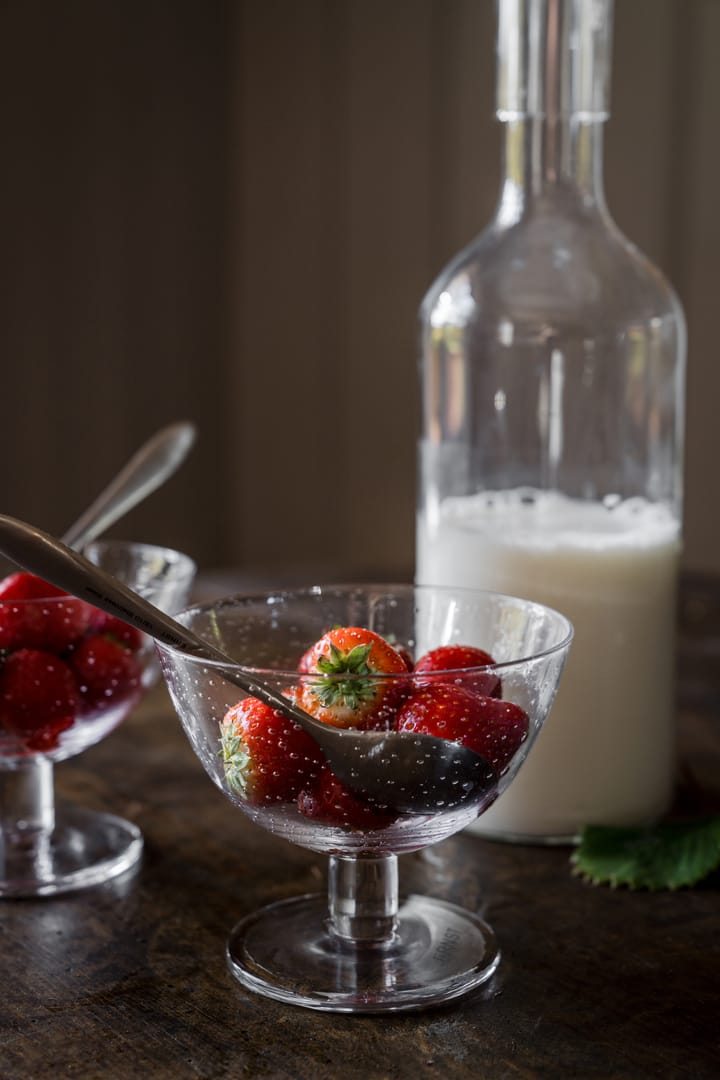 Ernst skål bubbligt glas 2-pack, Klar ERNST