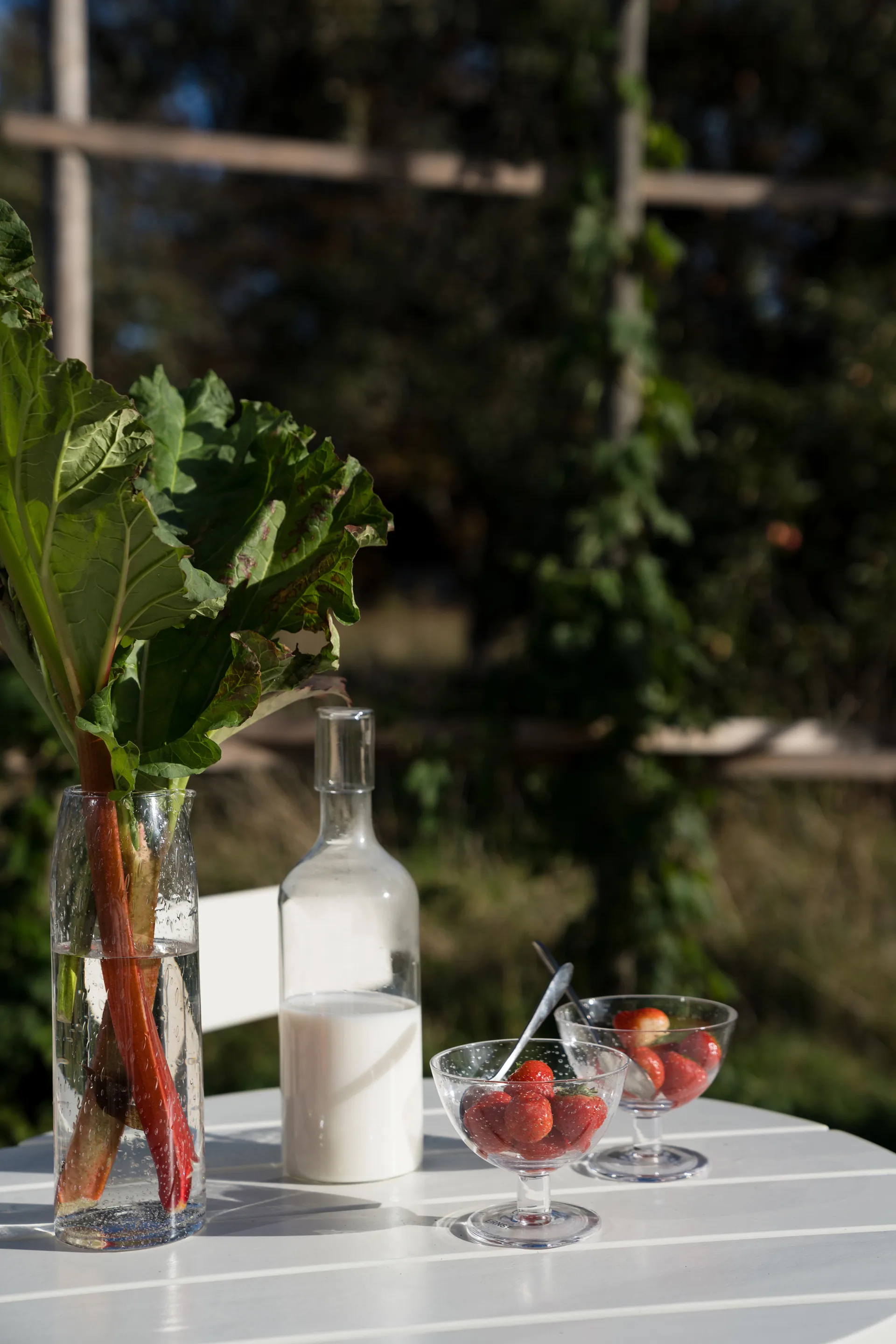 Ernst skål bubbligt glas 2-pack, Klar ERNST