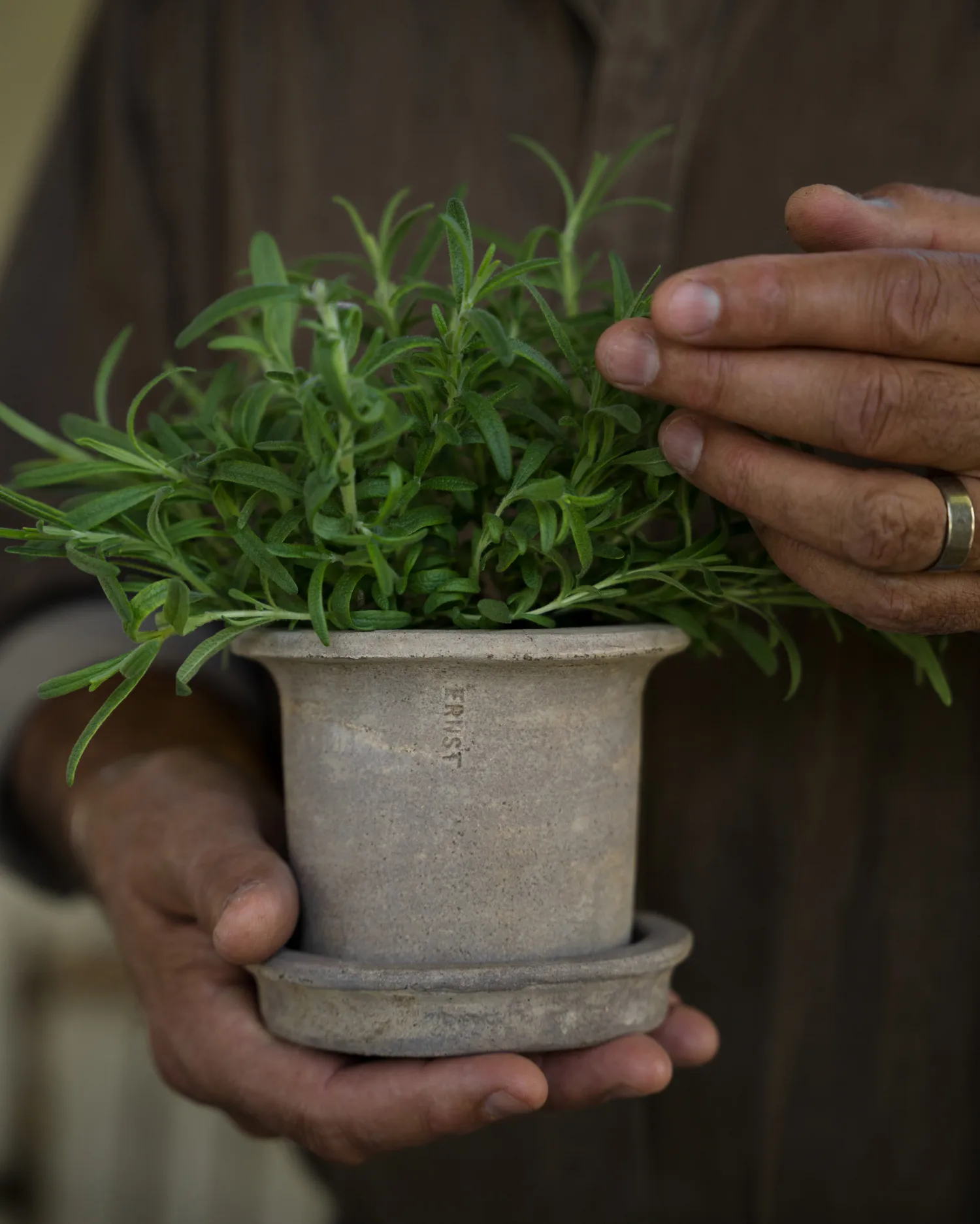 Ernst terrakotta kruka med fat, Ø12x10 cm ERNST