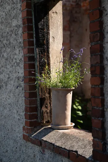 Ernst terrakotta kruka med fat - Ø25x35 cm - ERNST