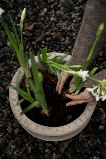 Ernst terrakotta kruka med fat - Ø33x12 cm - ERNST