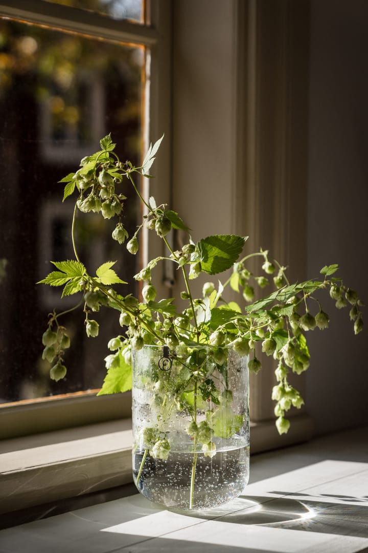Ernst vas bubbligt glas 18 cm, Klar ERNST
