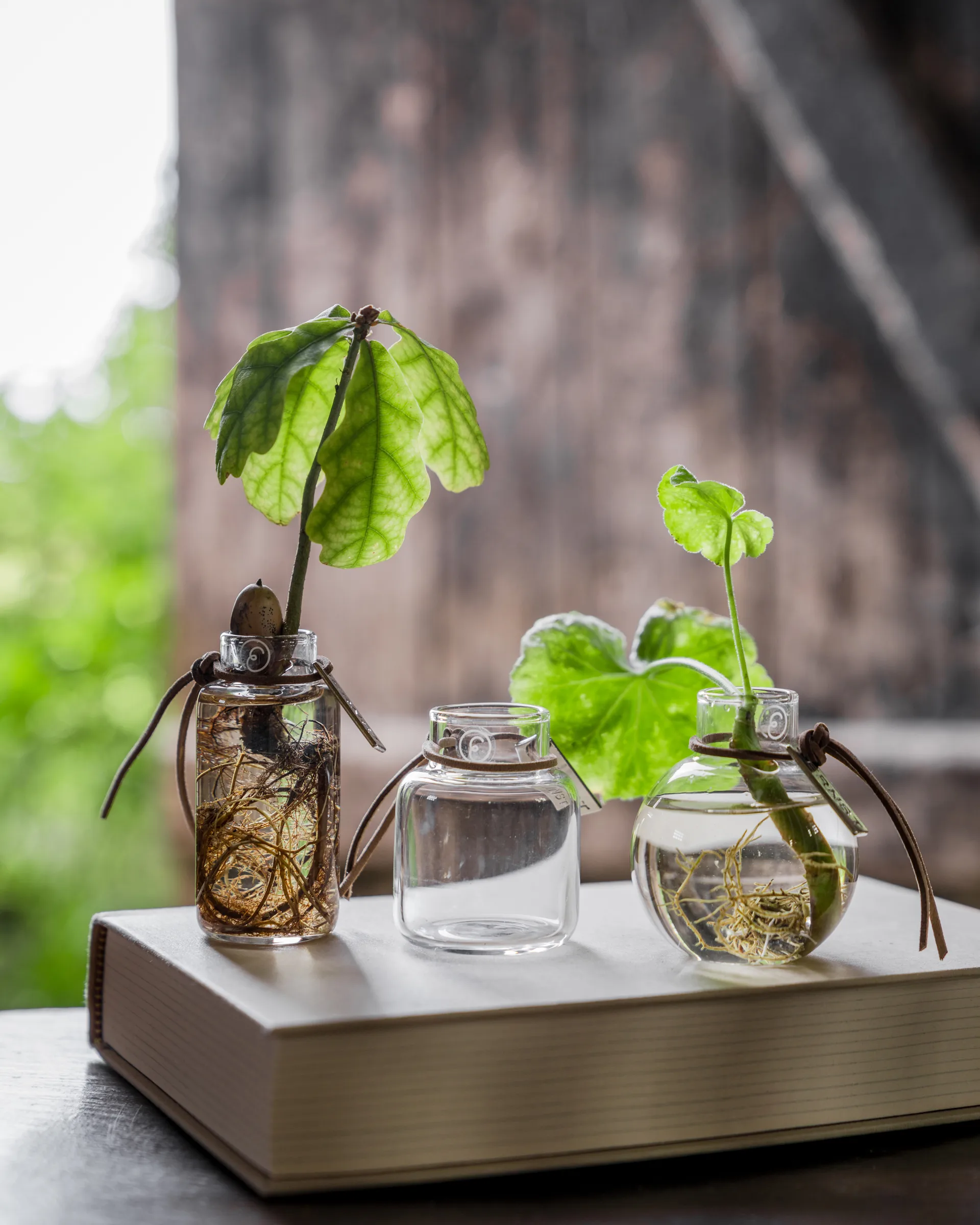 Ernst vas presentförpackning 3 delar, Klar ERNST