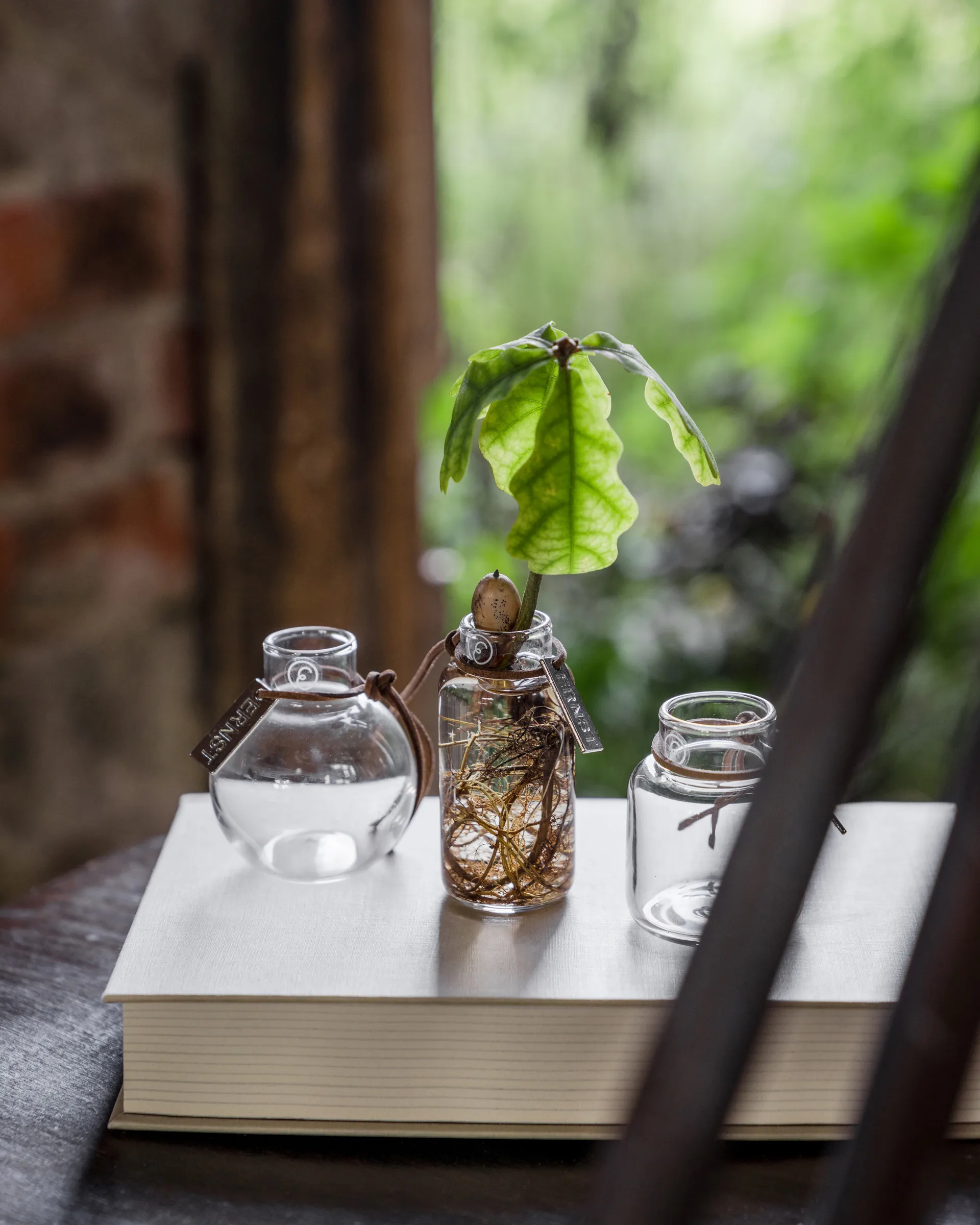 Ernst vas presentförpackning 3 delar, Klar ERNST