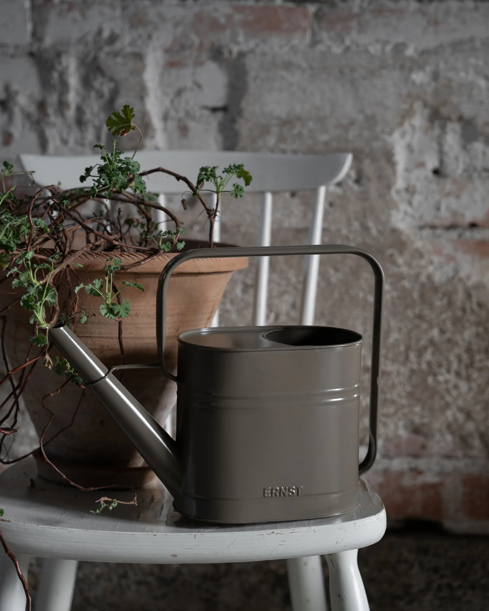 Ernst vattenkanna, Mullvad, 3 L ERNST