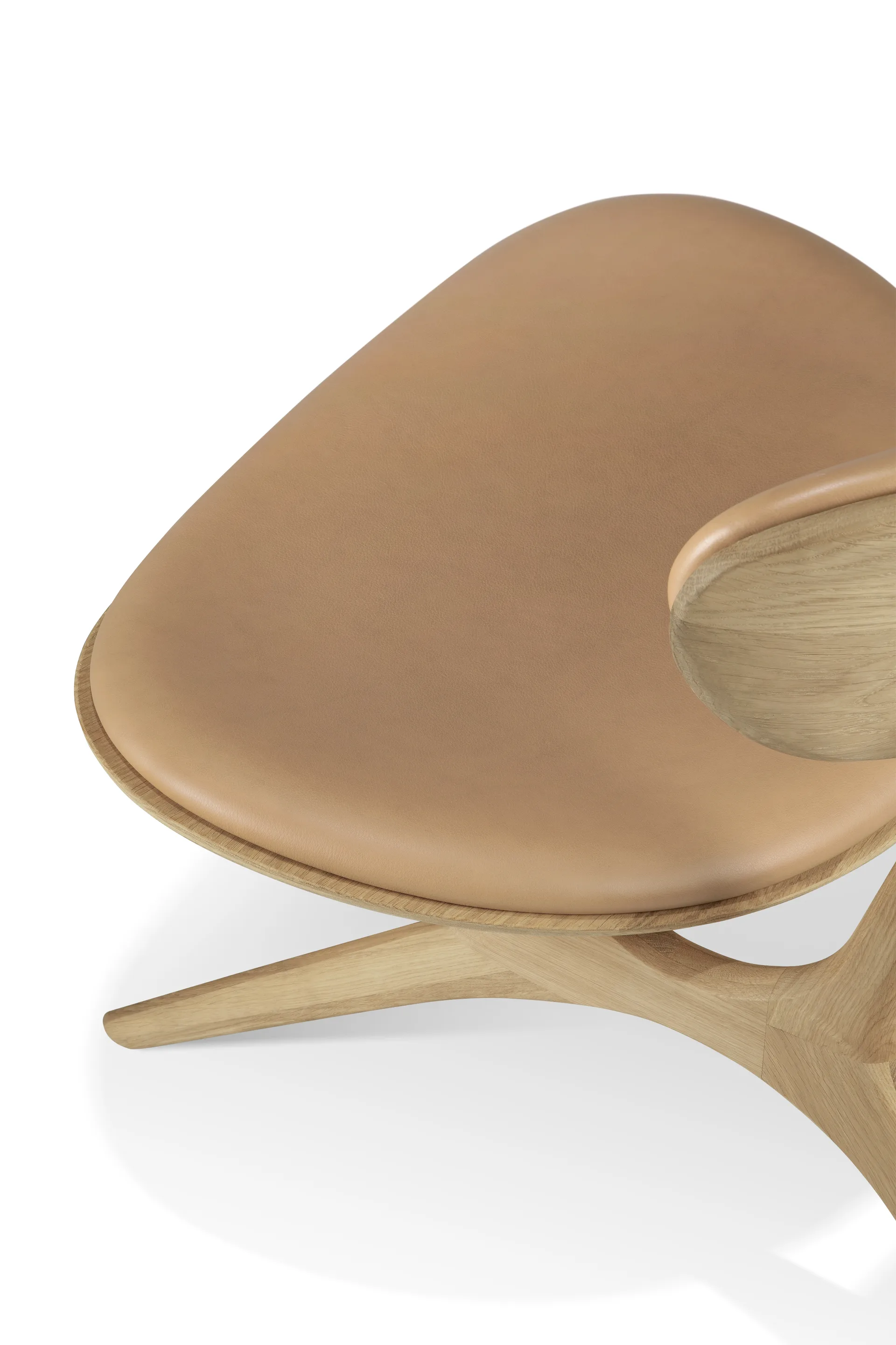 Eye loungefåtölj, Lackerad ek-läder Sienna Ethnicraft