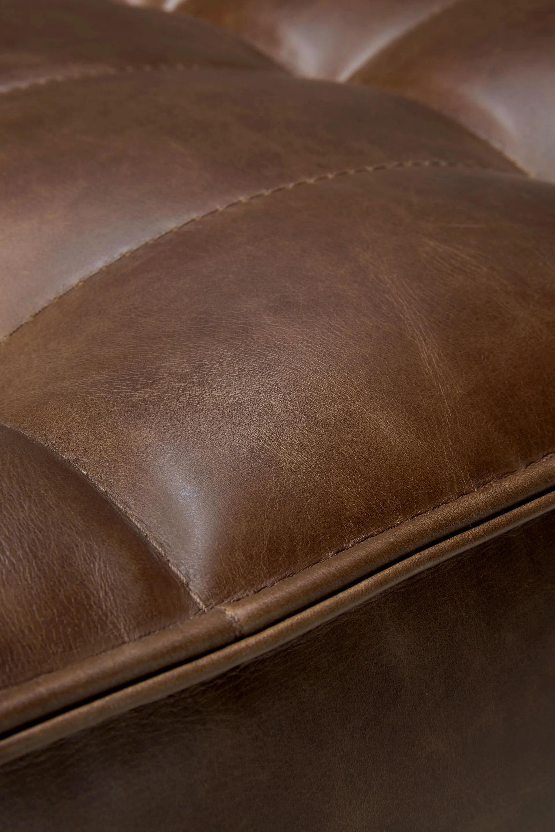 N701 soffa 2-sits, Läder Chestnut Ethnicraft