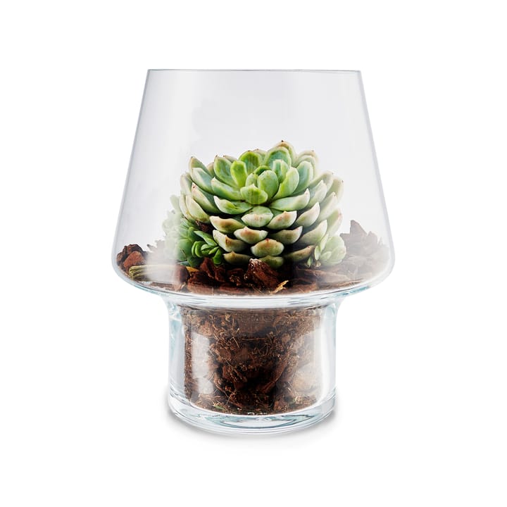 Eva Solo glasvas för suckulenter, Ø15 cm Eva Solo
