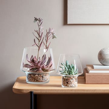 Eva Solo glasvas för suckulenter - Ø15 cm - Eva Solo