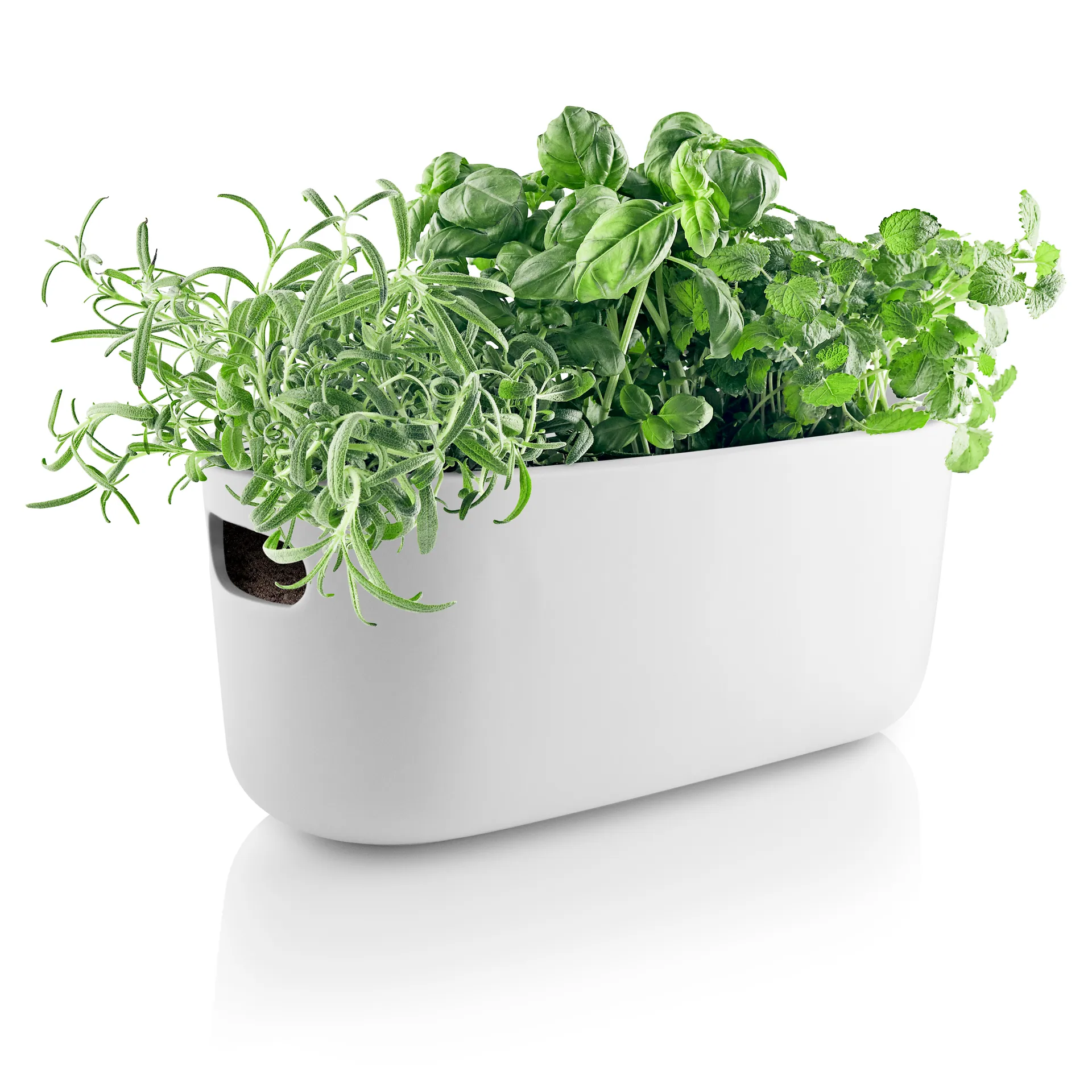 Eva Solo självvattnande herb organiser, Vit Eva Solo