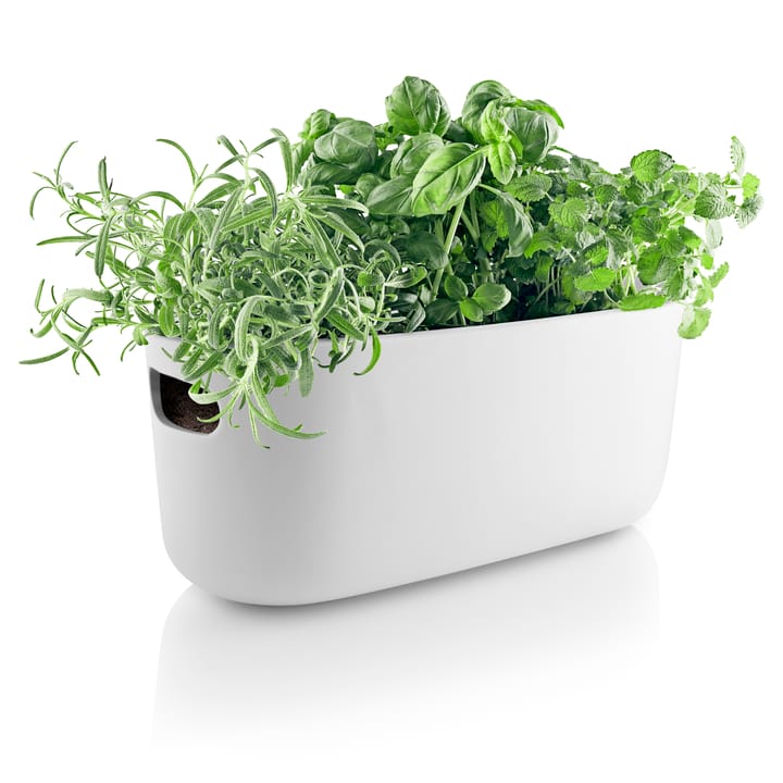 Eva Solo självvattnande herb organiser, Vit Eva Solo