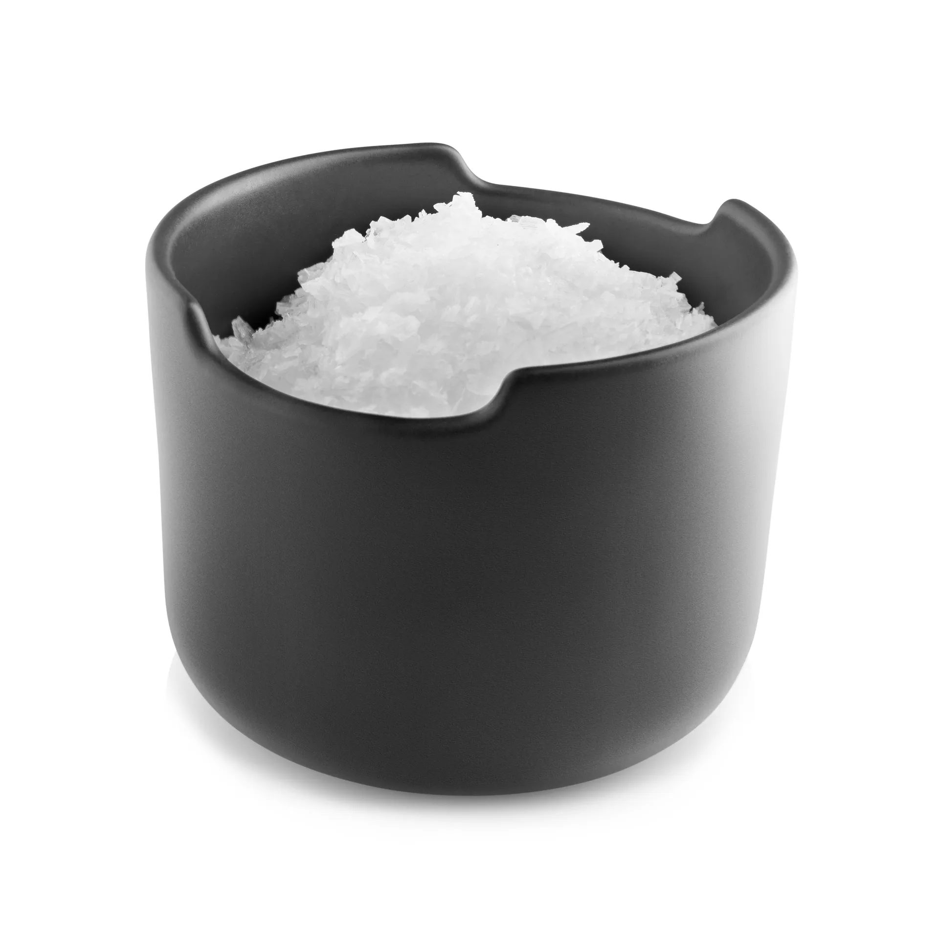 Nordic Kitchen saltkar med lock, Svart Eva Solo