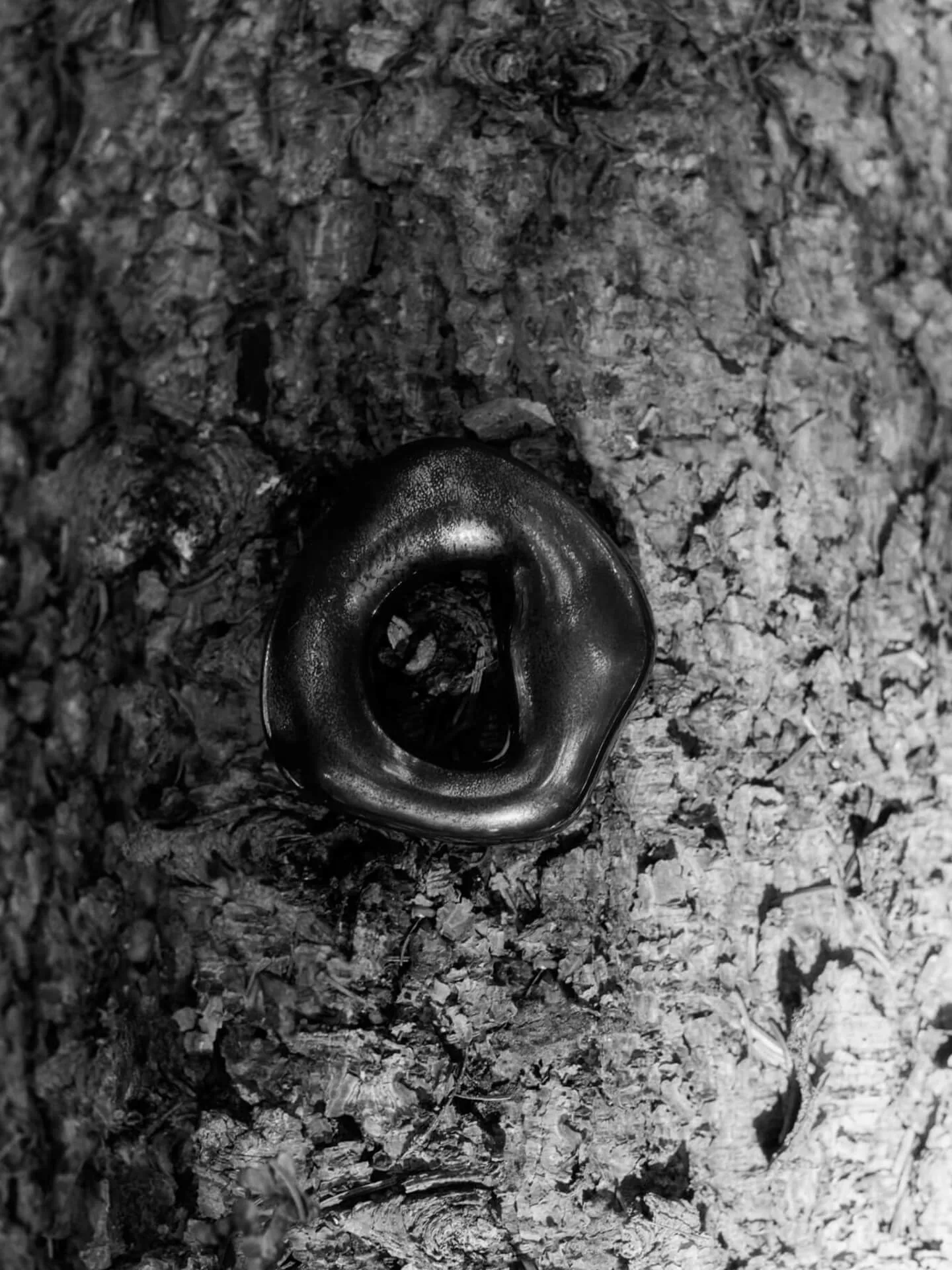 Orrith dekorationshänge 2 delar, Rustic Bronze Ferm Living