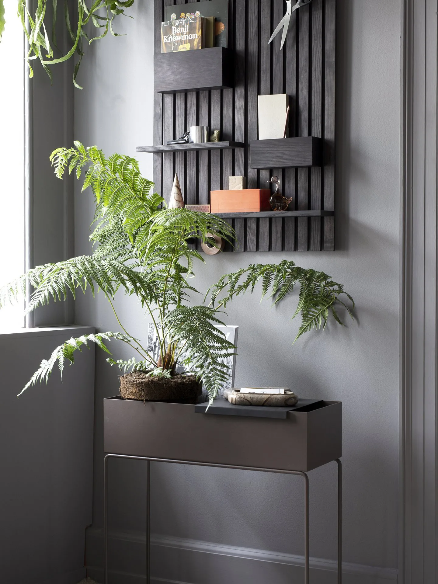 Wooden multi shelf hylla, Mörkbetsad ask Ferm Living