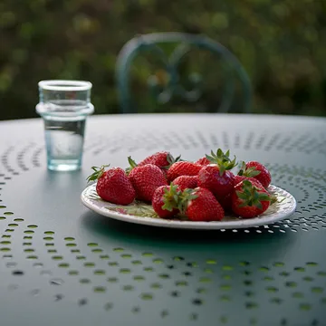 1900 bord Ø117 cm - Cactus (grön) - Fermob