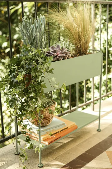 Picolino plant holder h.63 cm - Cactus (grön) - Fermob