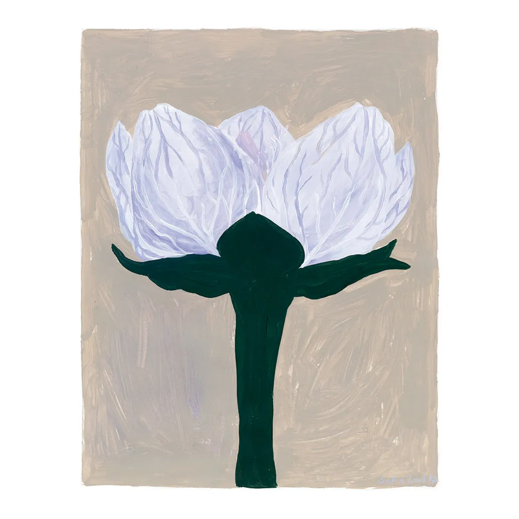 Slåtterblomma poster, 40x50 cm