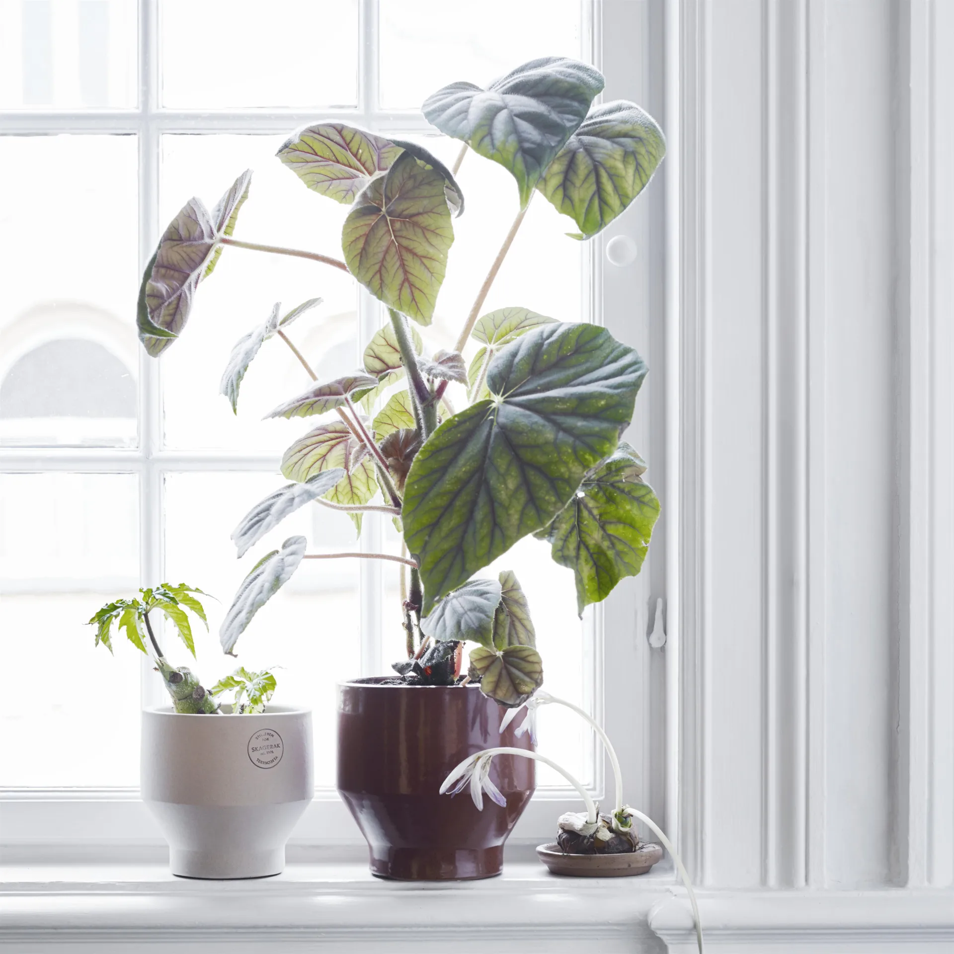 Edge kruka (inomhus) Ø18 cm, burned red Fritz Hansen