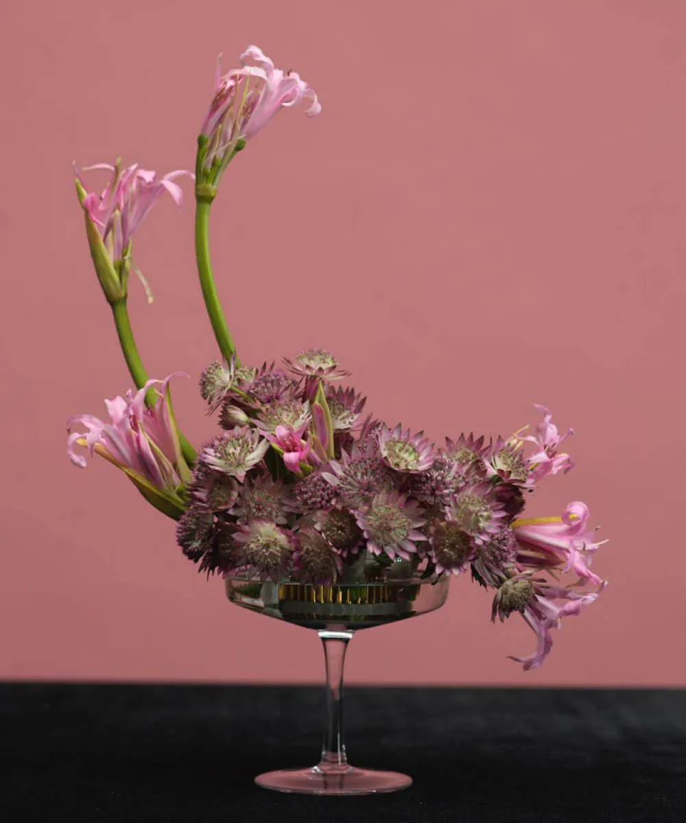 Garden Glory Flower Frogs blomsterfakir, Small Garden Glory