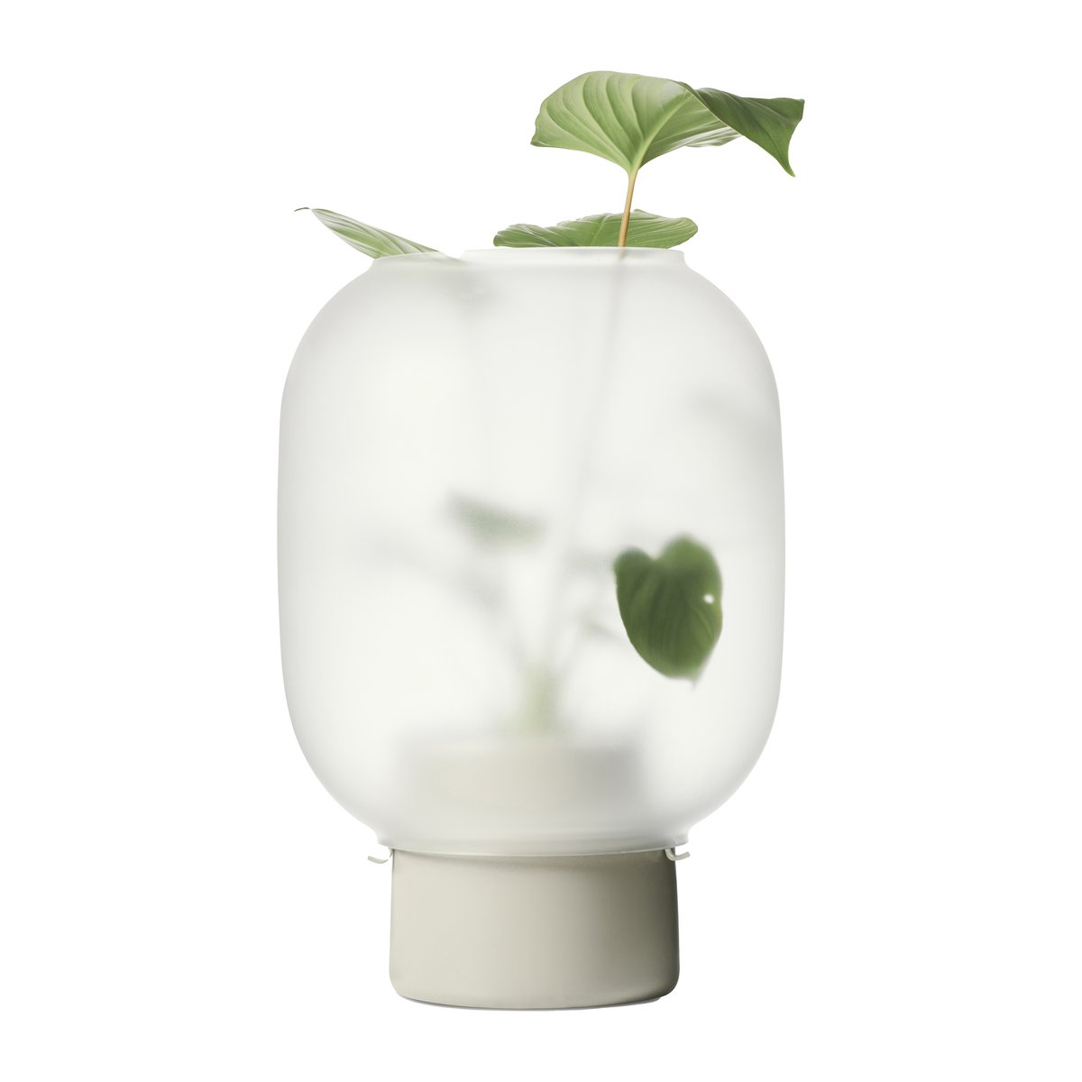 Gejst Nebl kruka med frostat glas 26 cm Grå | Skandinavisk Design | Krukor | Grå