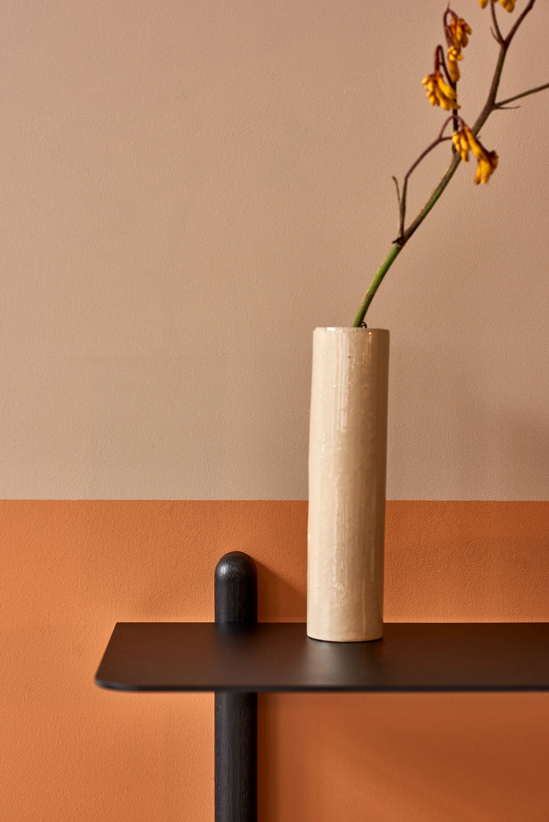 Nivo hylla F large, Svartbetsad ask-svart Gejst