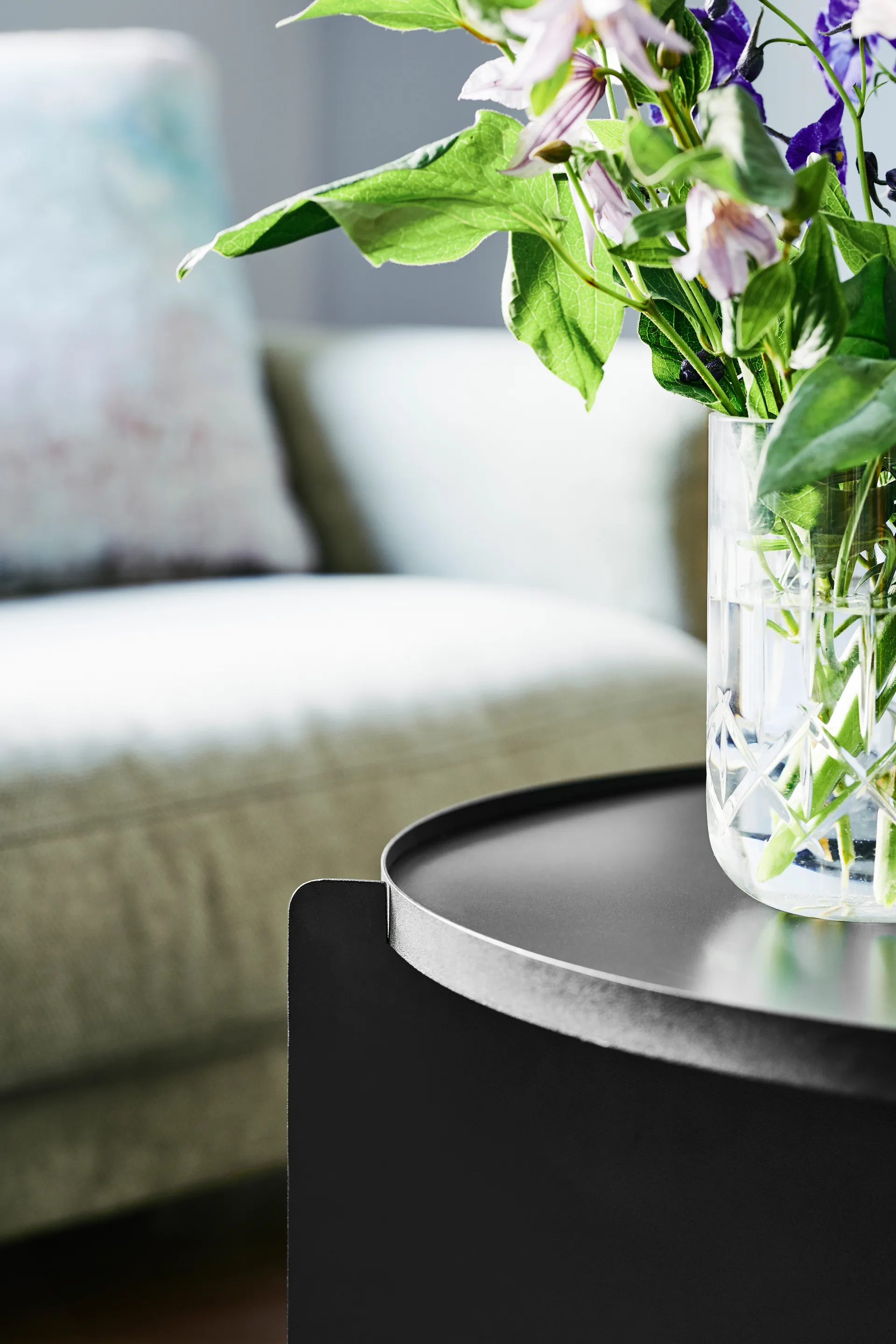 Svip brickbord, Svart Gejst