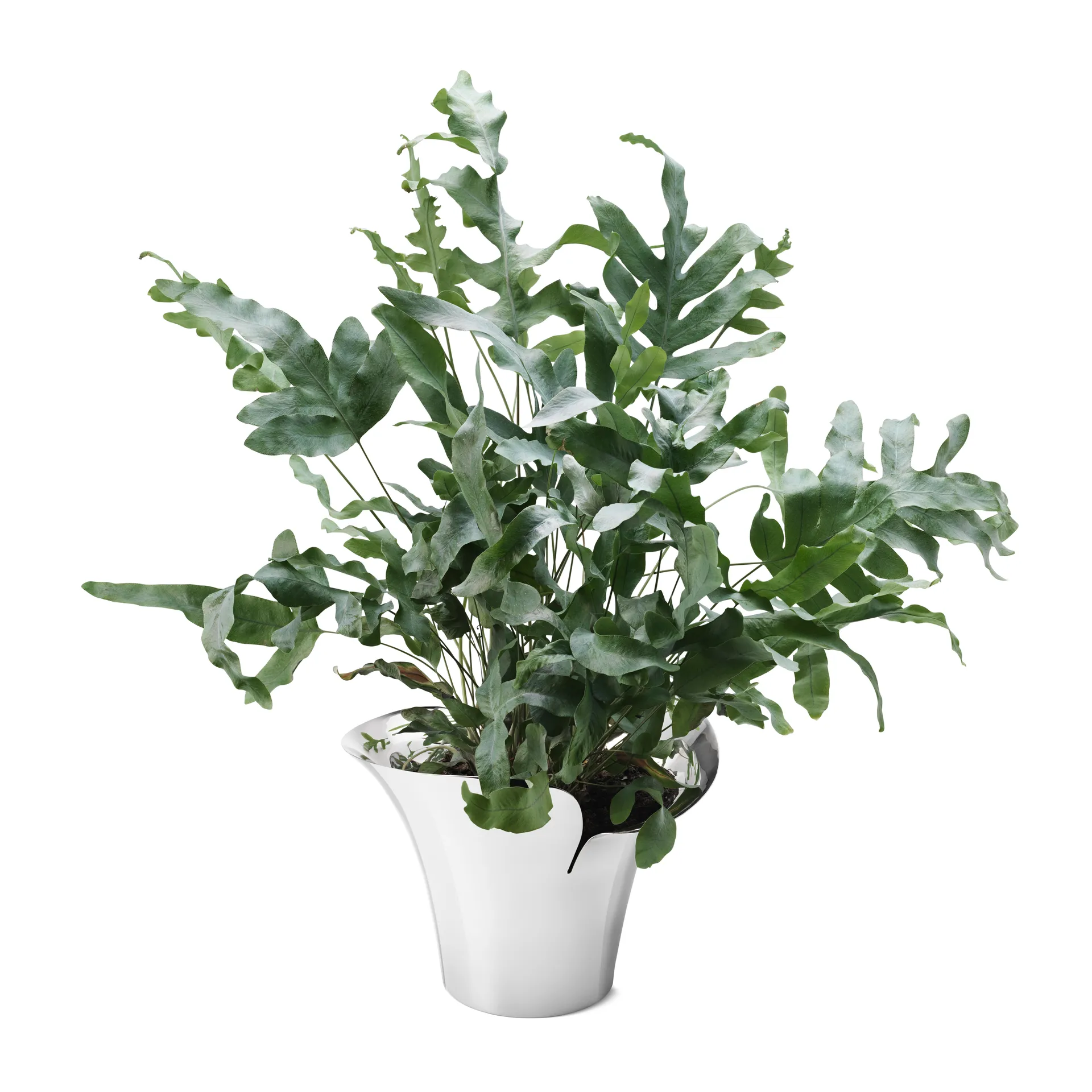 Bloom Botanica kruka, Ø19 cm Georg Jensen