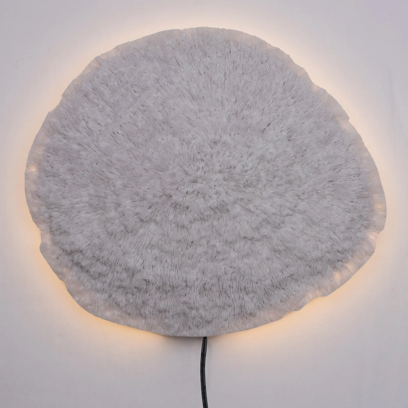 Nemo vägglampa vit, 36 cm Globen Lighting