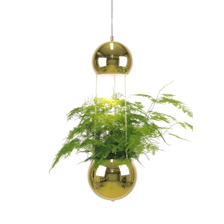 Planter taklampa och ampel - mässing - Globen Lighting