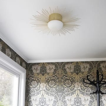 Soleil plafond/vägglampa Ø56 cm - Borstad mässing - Globen Lighting