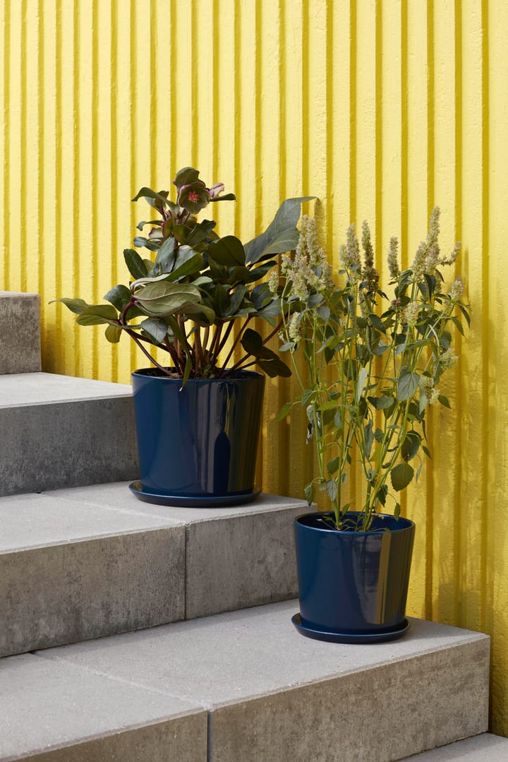 Botanical Family kruka XL Ø22 cm - Dark blue - HAY