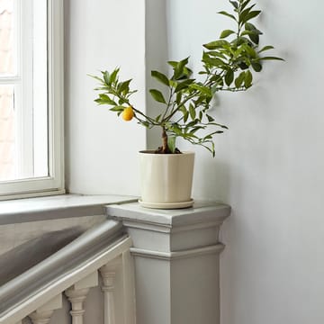 Botanical Family kruka XL Ø22 cm - Off white - HAY