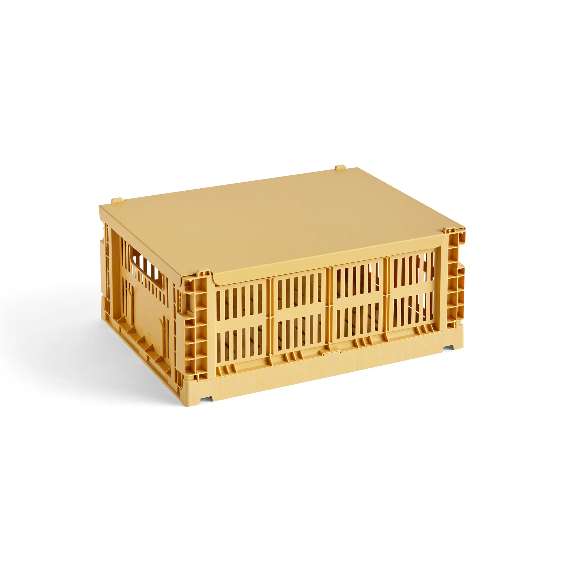 Colour Crate lock medium, Golden yellow HAY