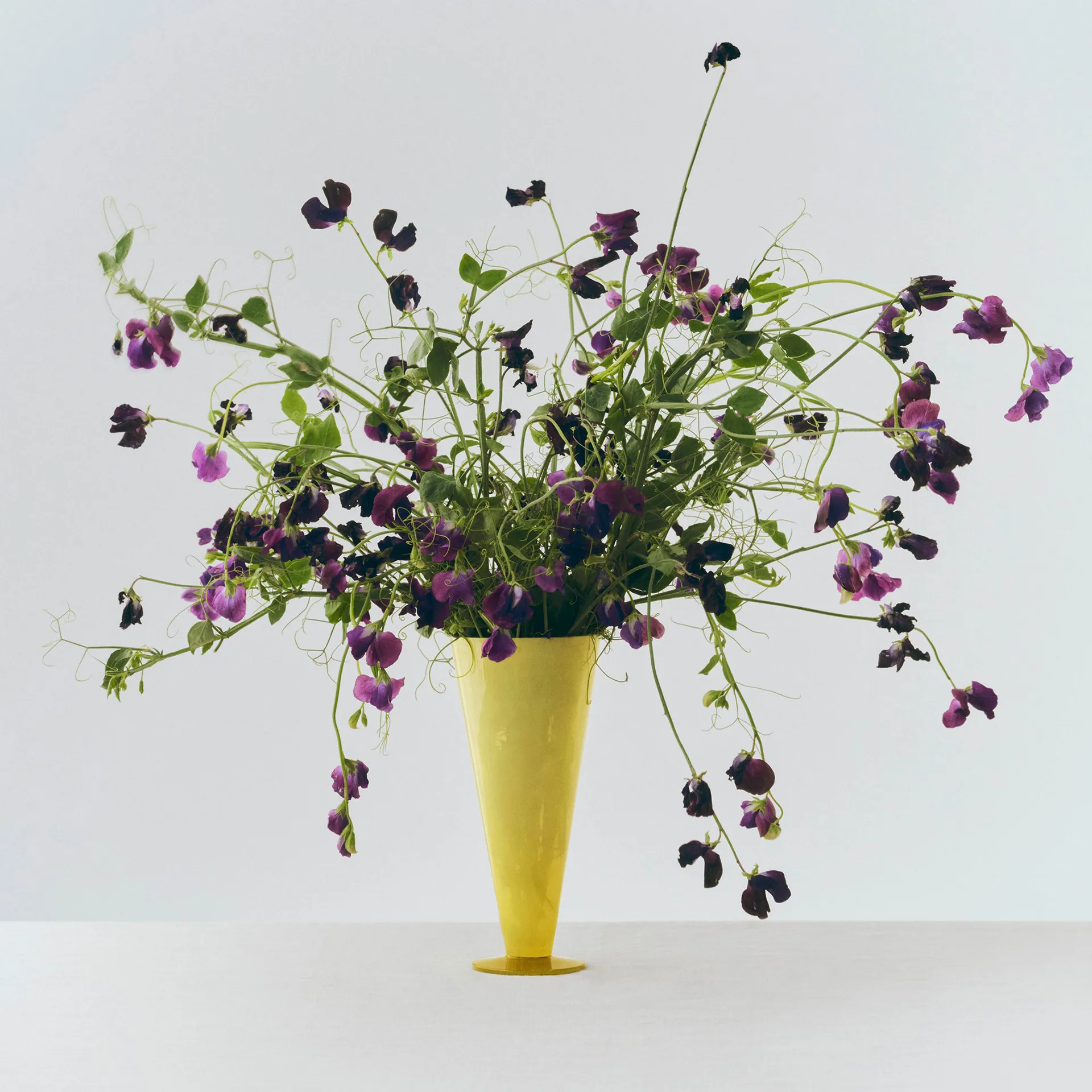 Conical vas, Yellow-lime green, large HAY