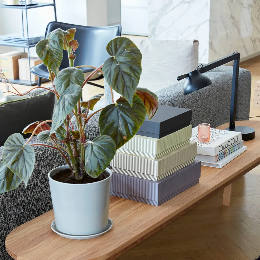 PC skrivbordslampa, Soft black, med lampfot HAY