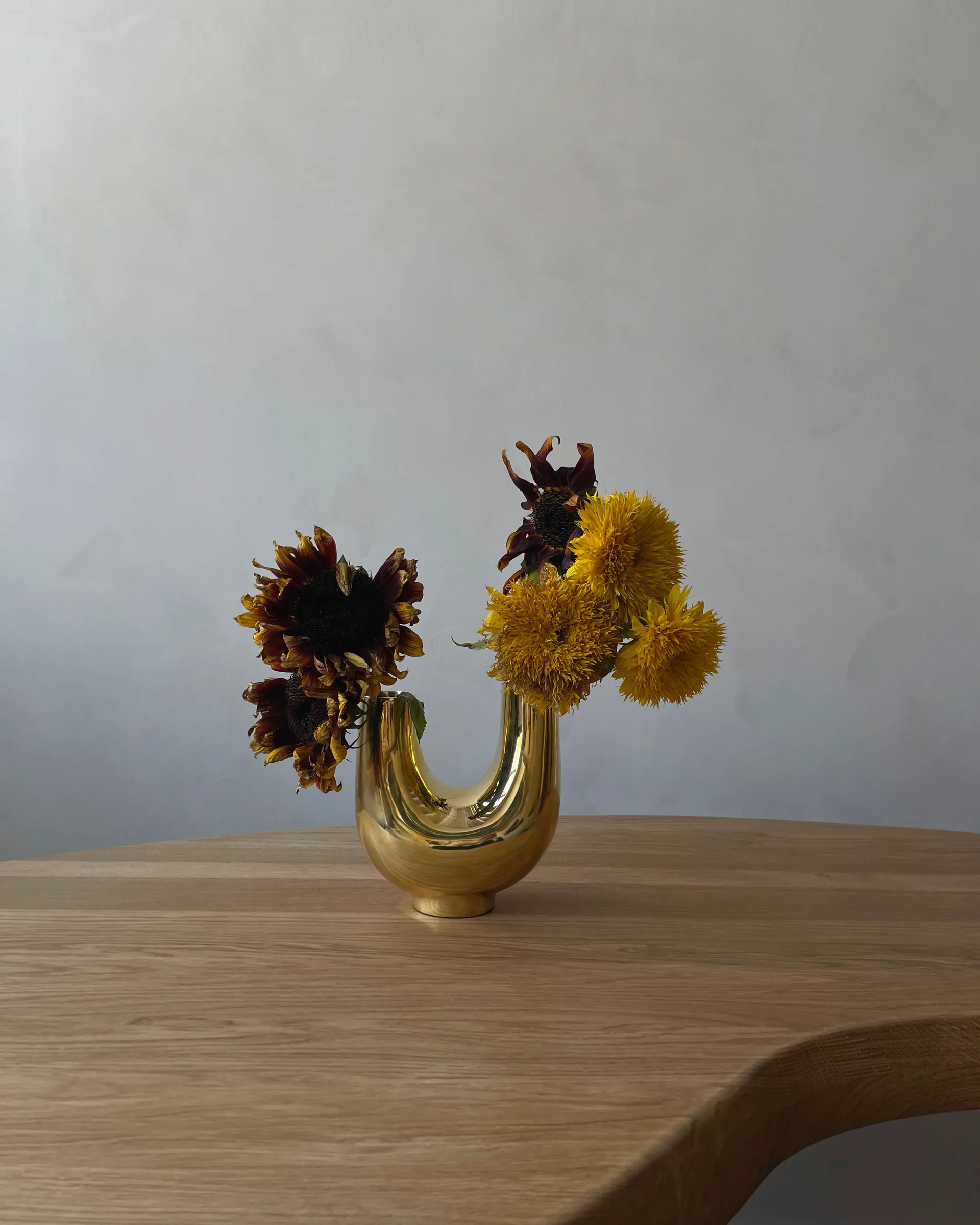 Kazumi vas, Mässing Hein Studio