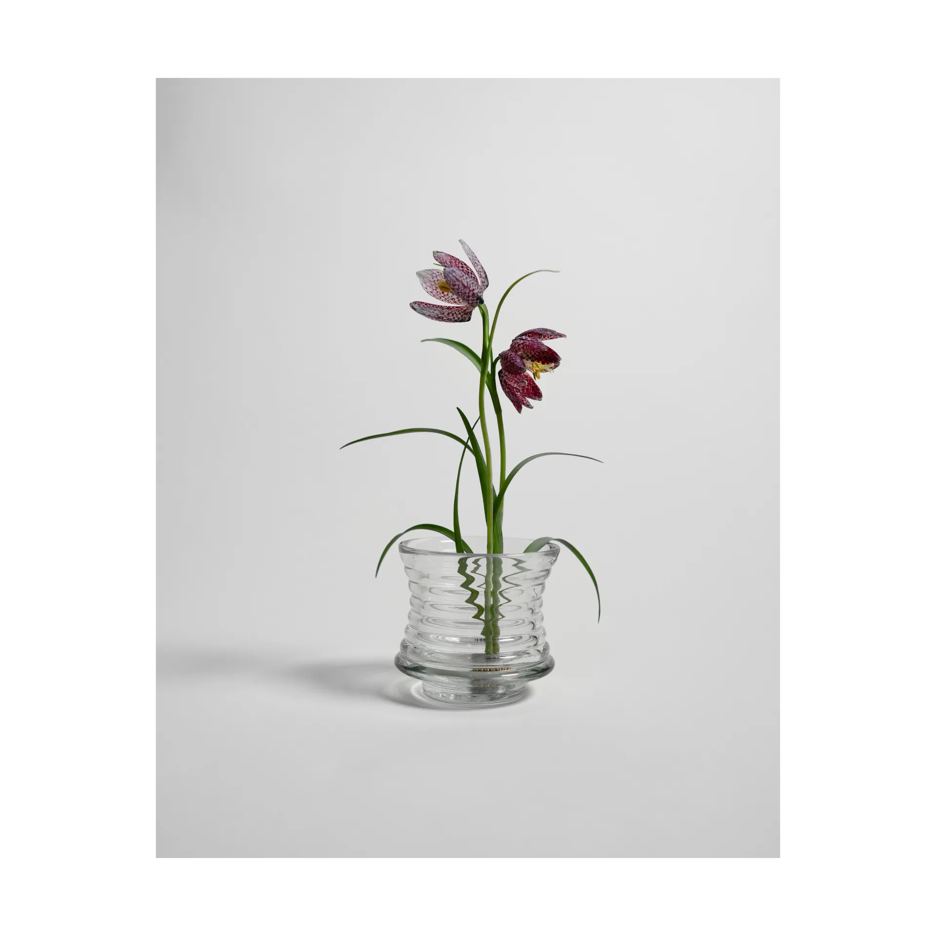 Kenzan vas, Ø6 cm Hein Studio