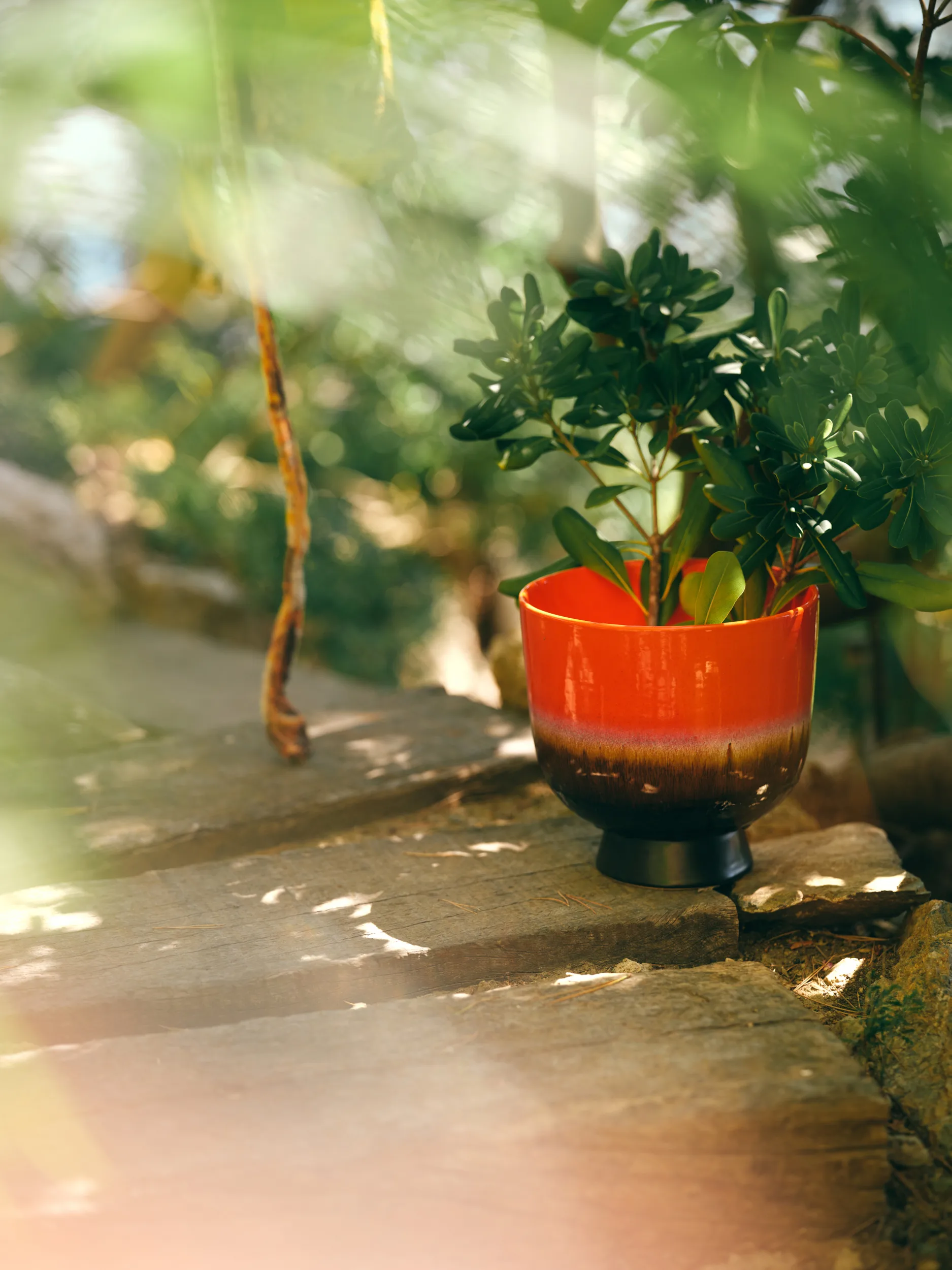 Retro blomkruka Ø20,5 cm, Cherry red HKliving