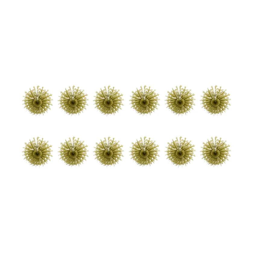 Fold pappersstjärnor 12-pack, Gyllene House Doctor