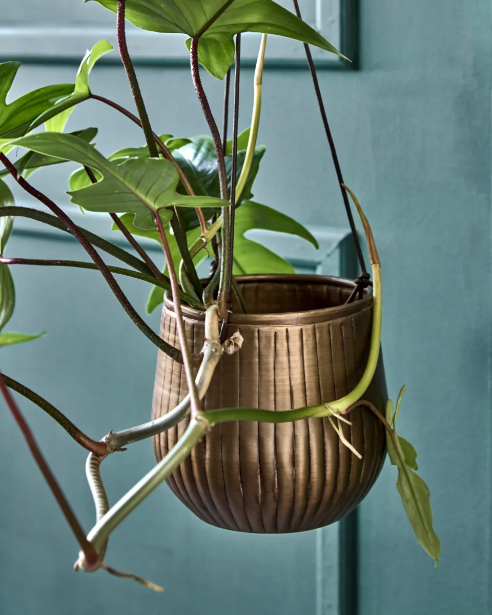 Plan hängande kruka 2 delar, Gyllene House Doctor